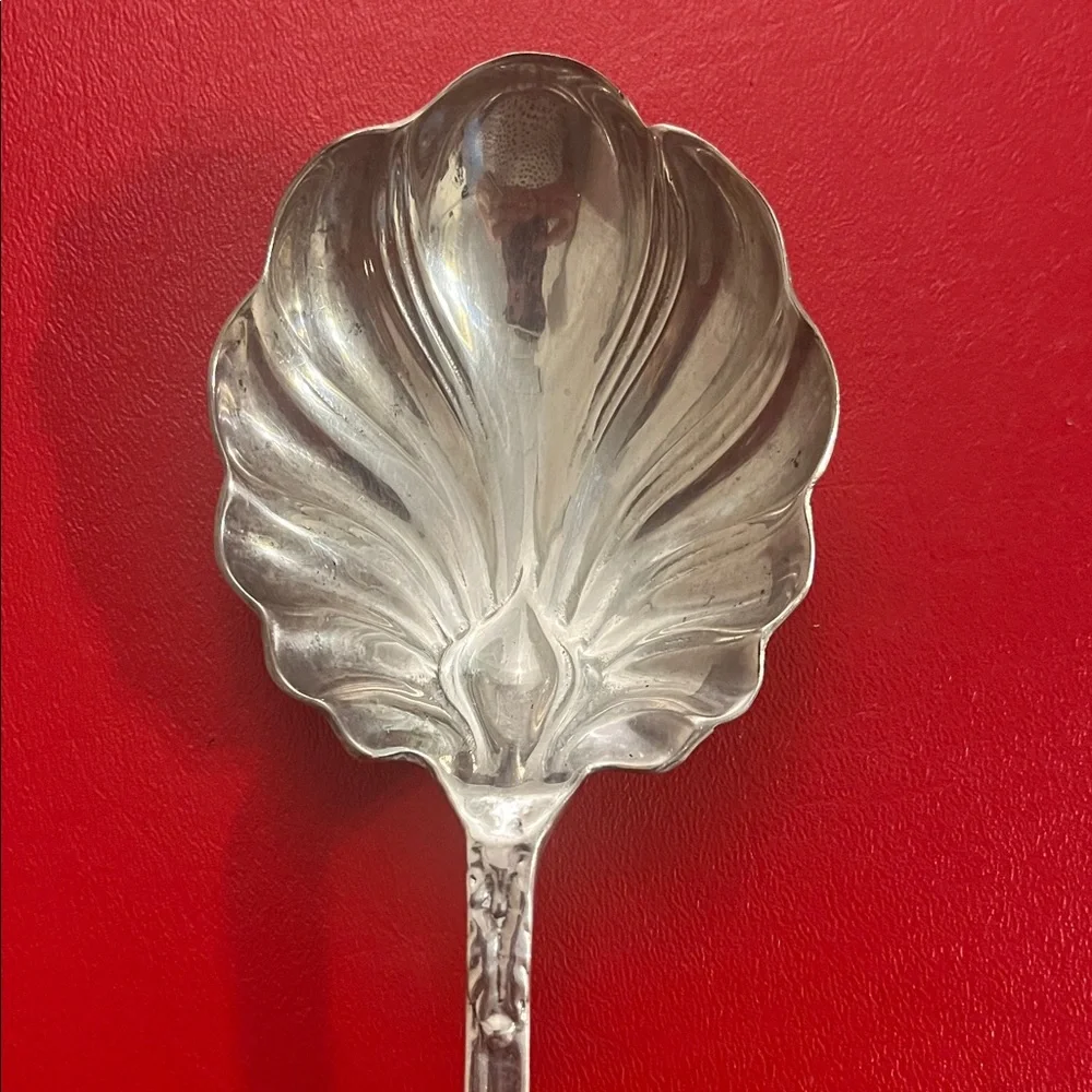 Vintage Elegant Silver Serving Spoon